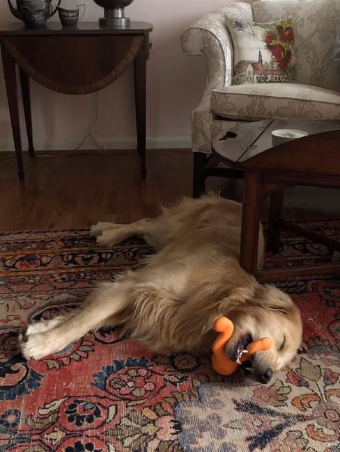 Cobertor Pet Soft